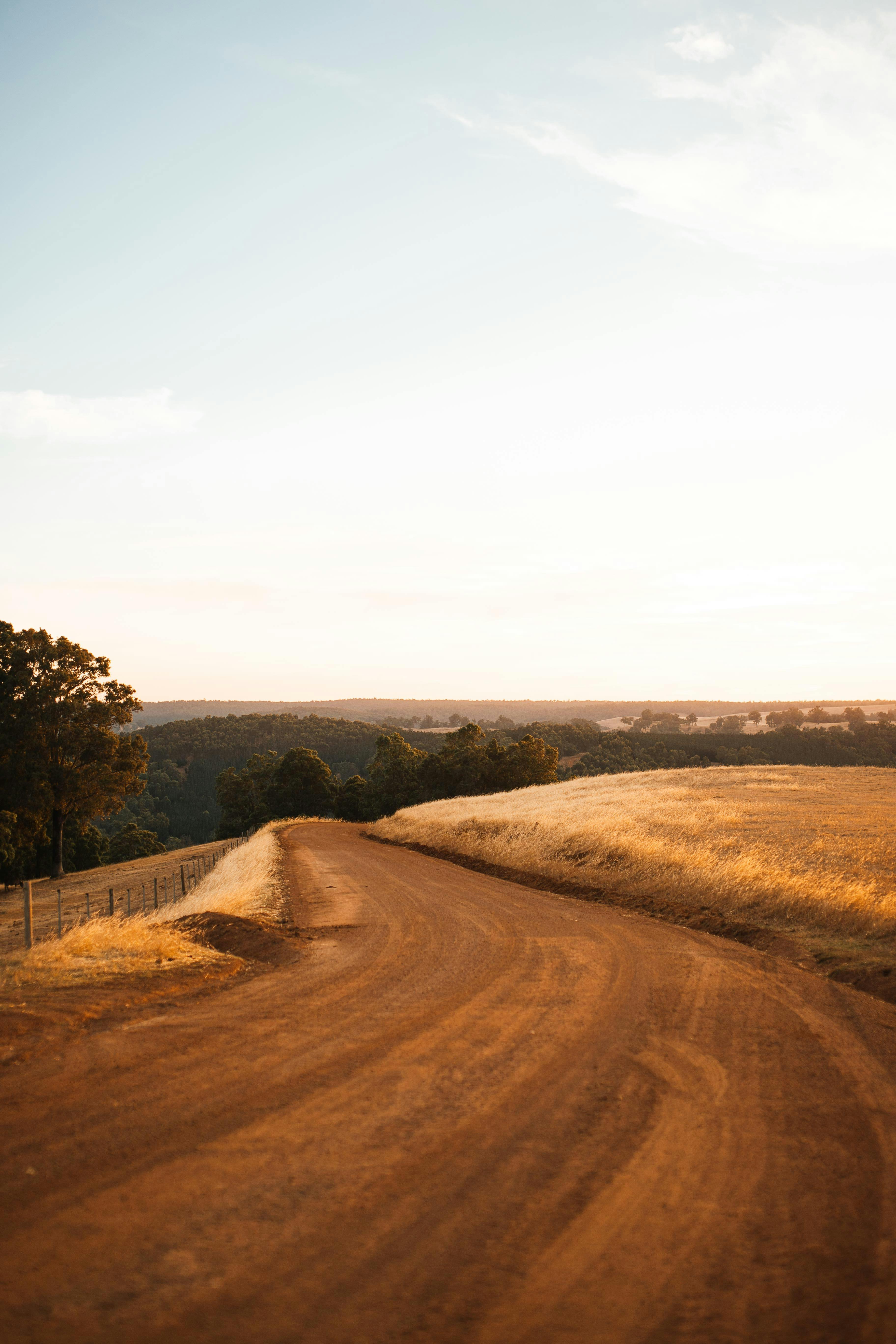 brown dirt road between green grass field