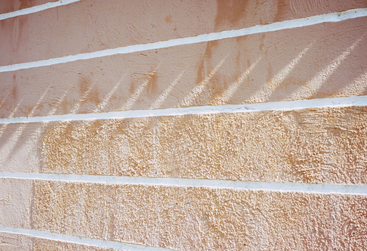Exterior Painting in Botany Bay — dust sheets down and the room fully protected