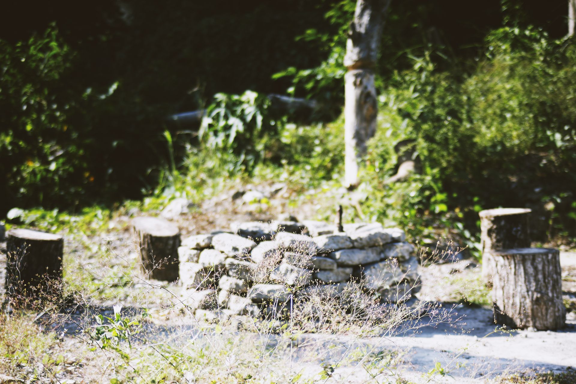 A rustic stone fire pit surrounded by tree stumps in a sunny, rural setting.