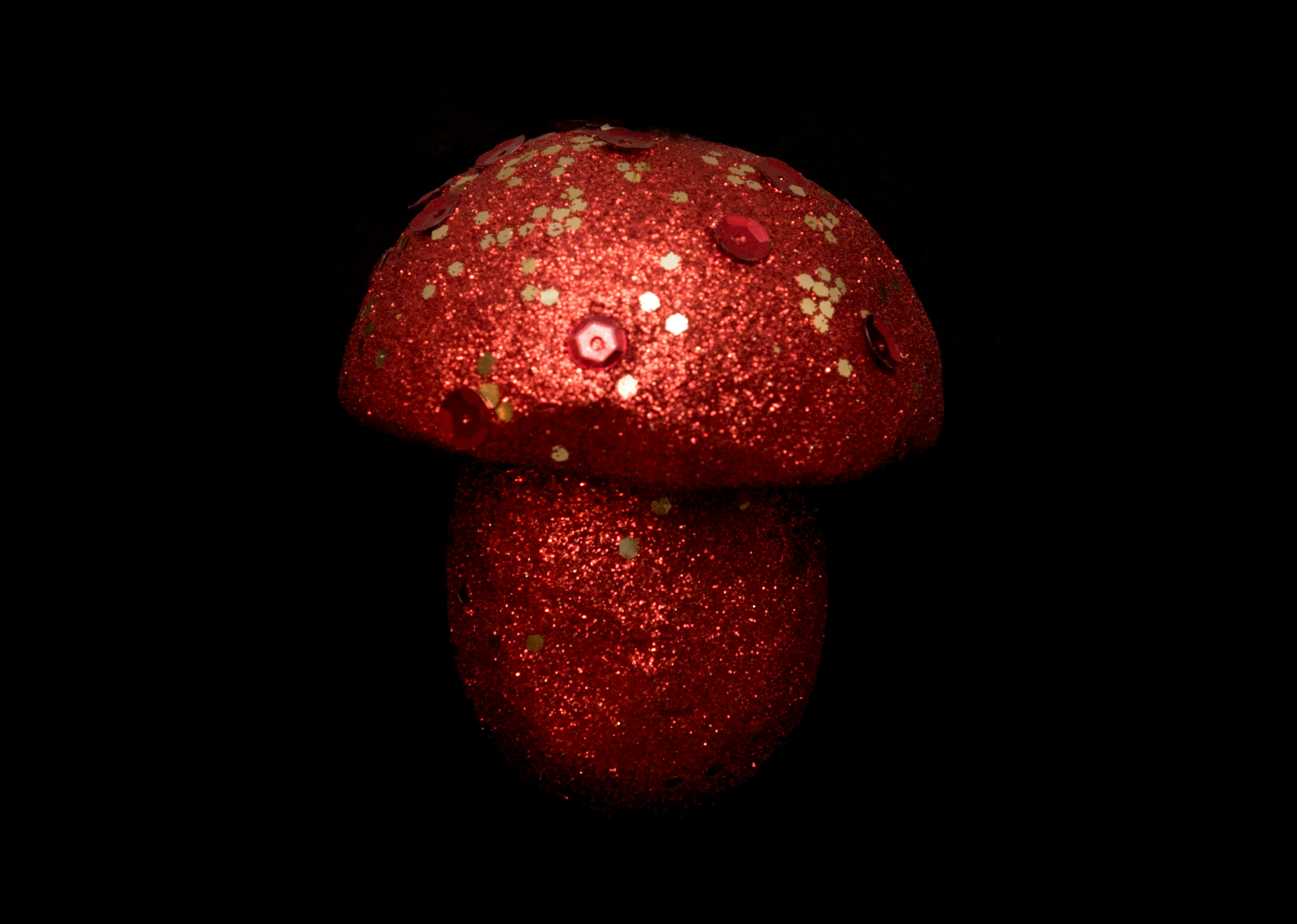 Free stock photo of christmas, christmas decoration, mushroom