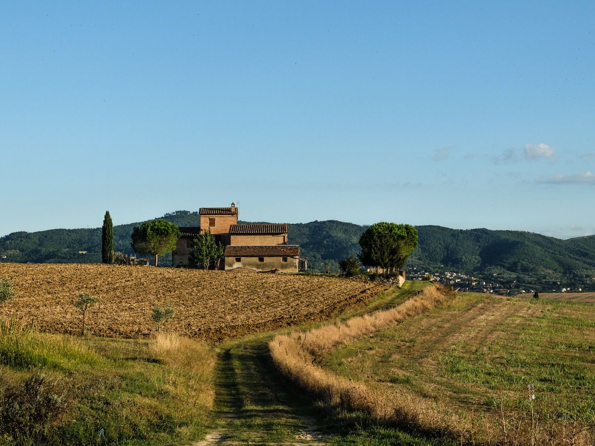 Masías en el campo catalán