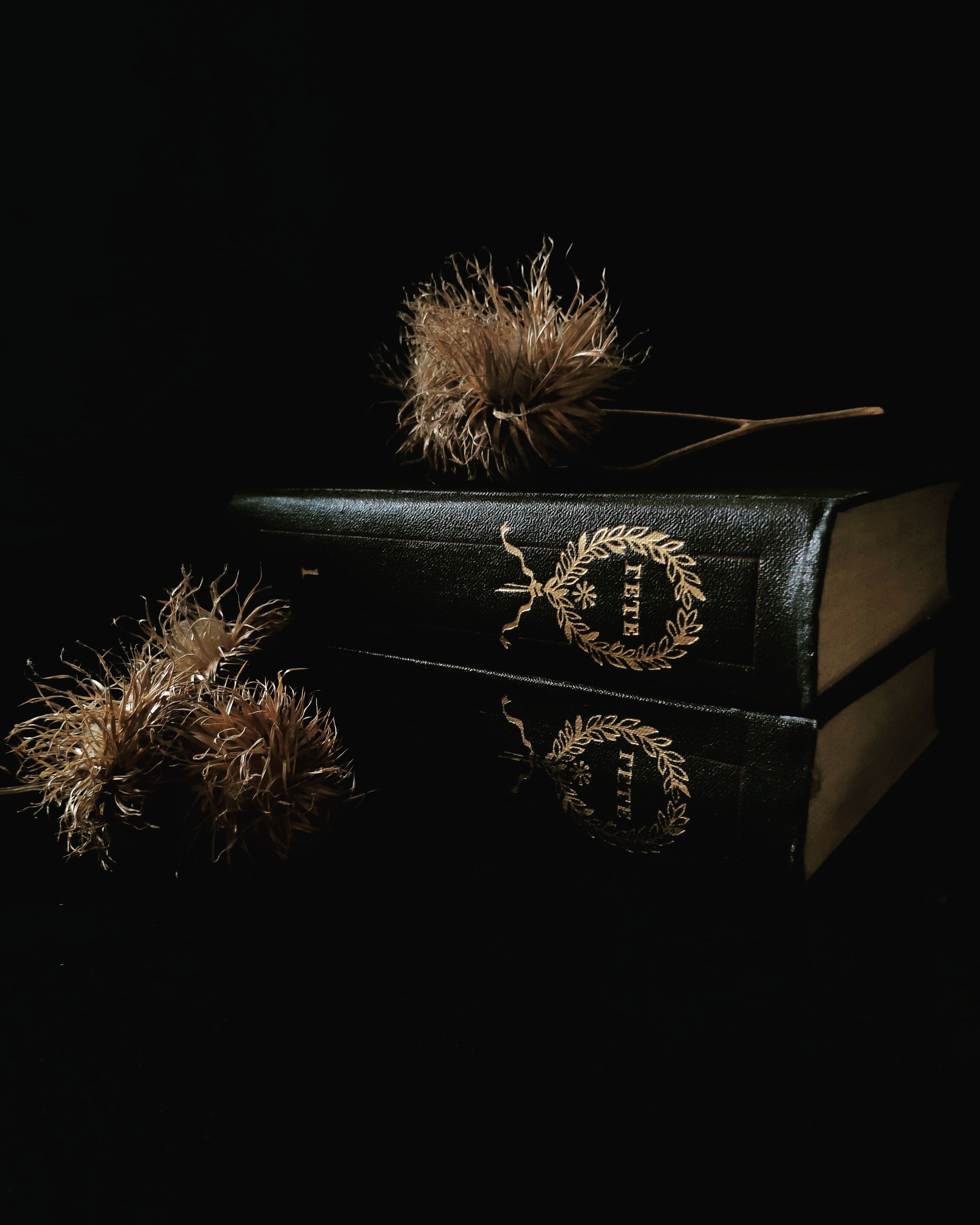 Dark leather book with dried flowers — The Occult