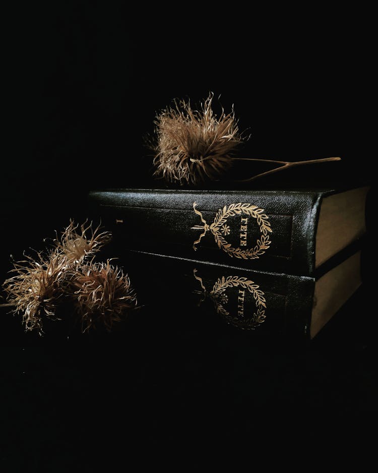 Photograph Of Black Books Near Dry Leaves