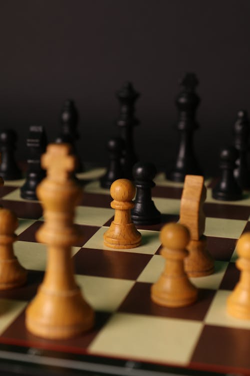 Free Photograph of Brown and Black Chess Pieces Stock Photo