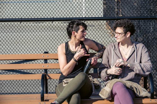 Free Female friends chatting on bench Stock Photo