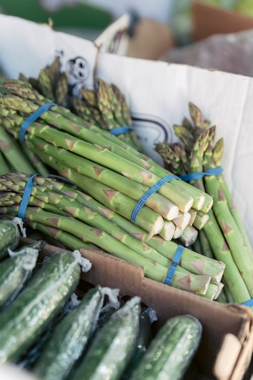 Free From above of bunch of fresh asparagus and cucumbers in cardboard boxes in local street food market on sunny day Stock Photo