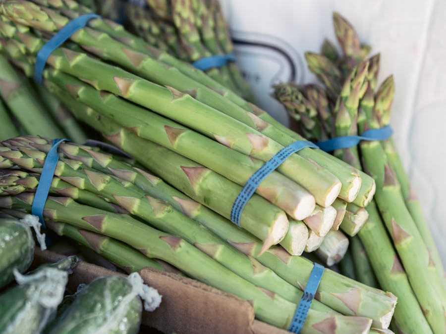Is cucumber high carb?