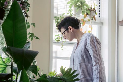 Free Side view of focused female in eyewear and striped shirt standing against assorted tropical plants while looking down at home Stock Photo