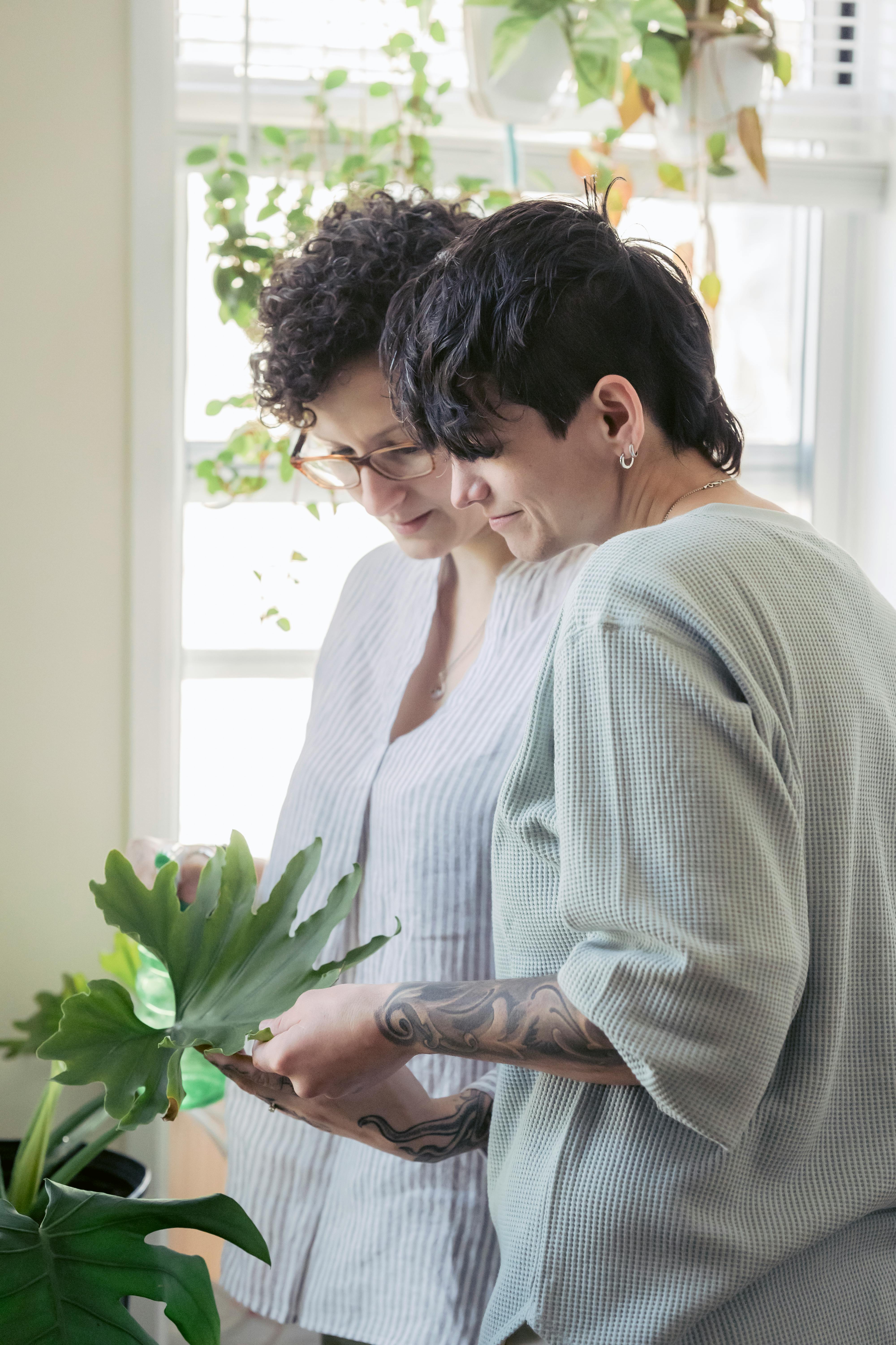 homosexual girlfriends spraying philodendron at home