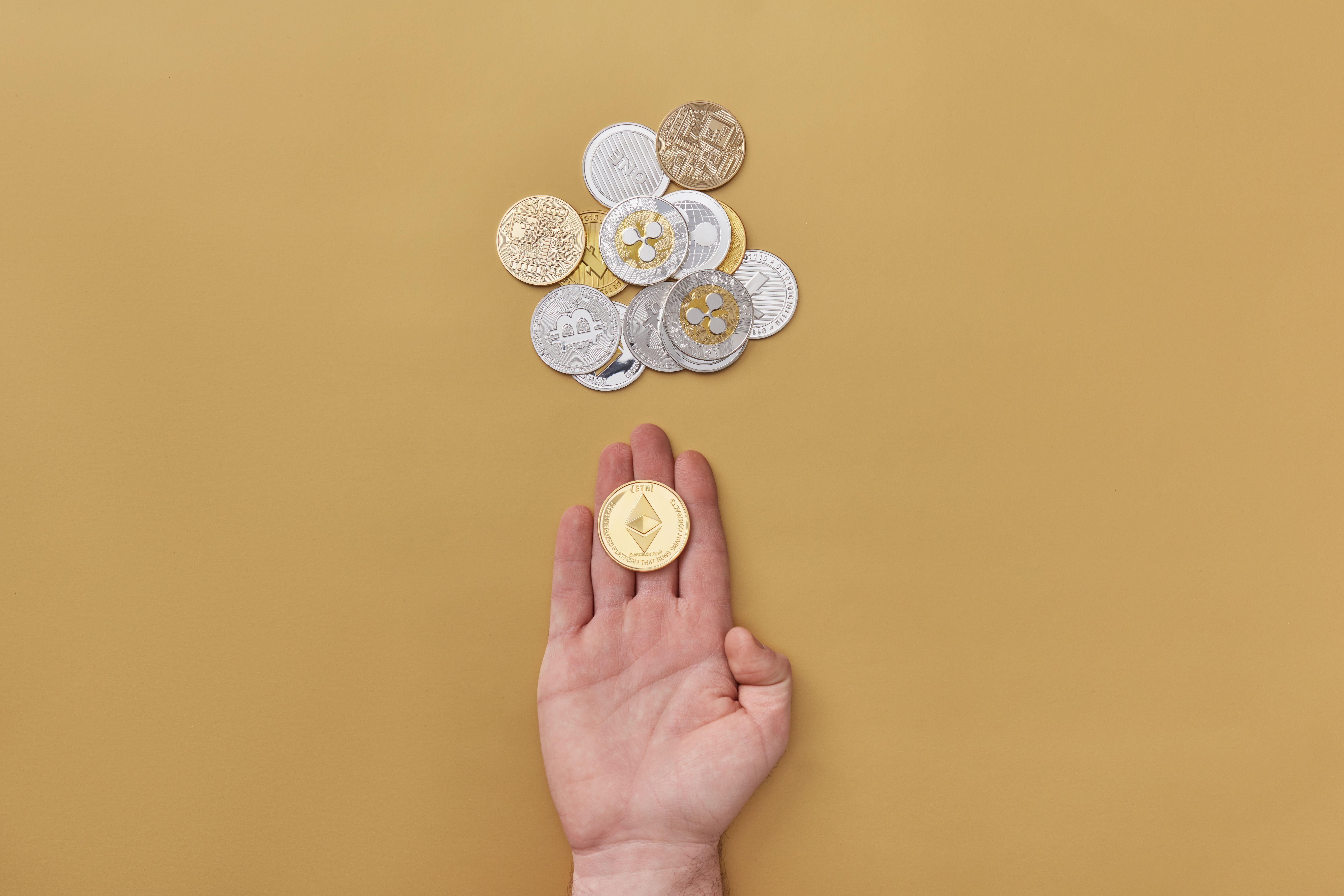 Where to Buy Coins: Shops, Auctions, and Mail Compared
