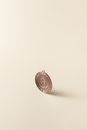 Silver Round Coin on White Surface