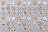 Gold and Silver Round Coins