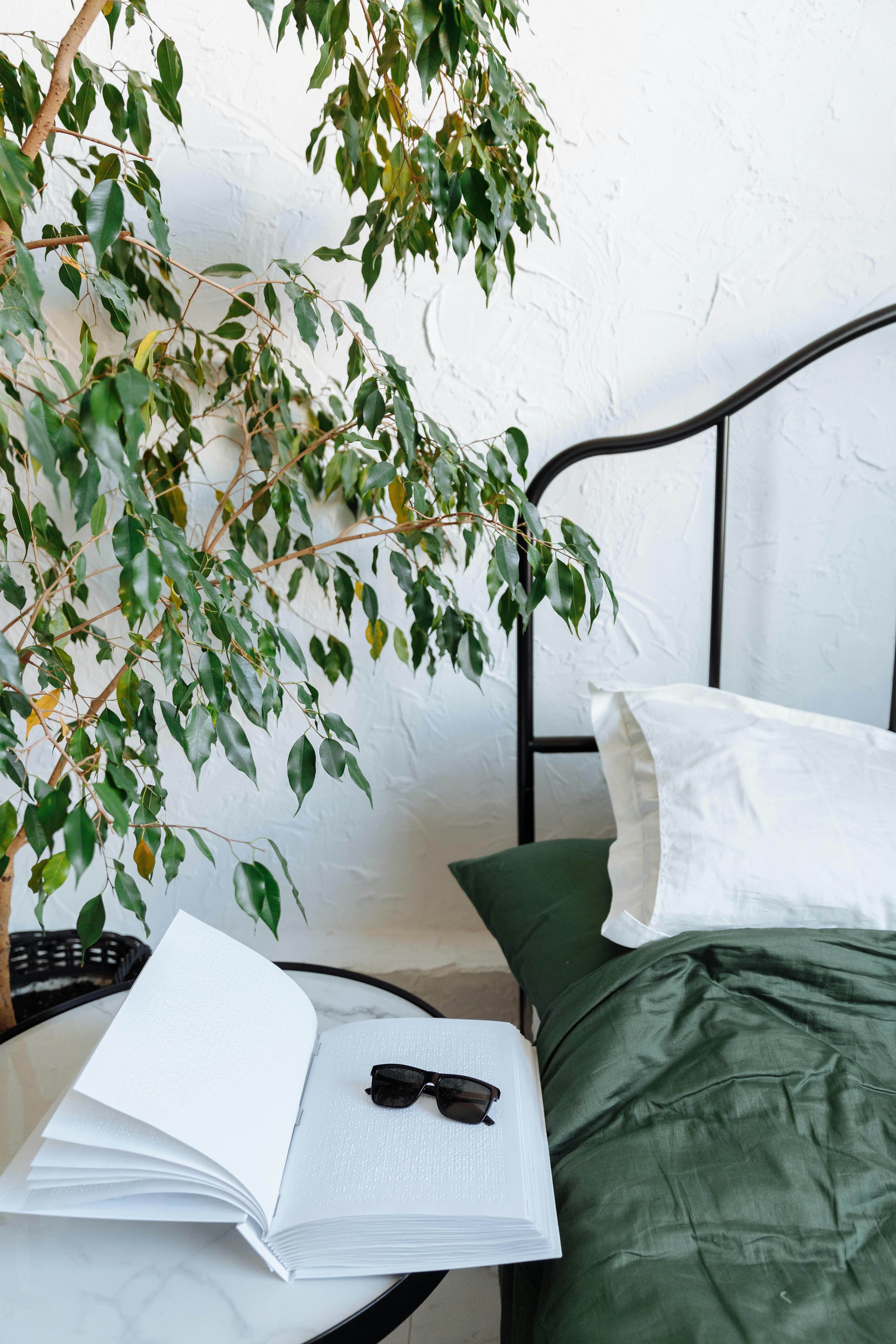 green plant beside white throw pillow