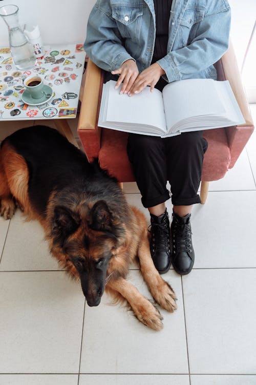 Free Person Using a Braille Beside a Dog Stock Photo