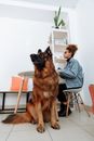 Woman in Gray Long Sleeve Shirt Sitting on White Chair Beside Brown Long Coated Dog