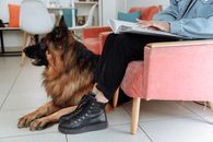Person in Black Pants Sitting on Pink Chair