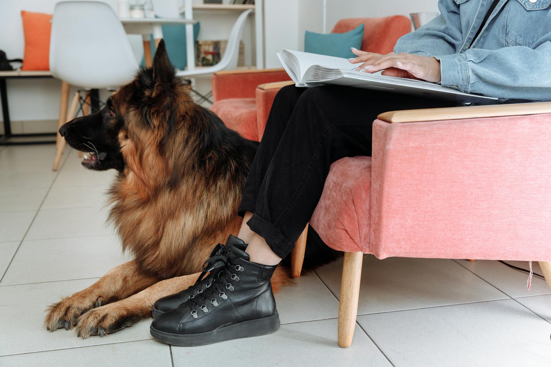 Person in Denim Jacket Using a Braille Beside a Dog