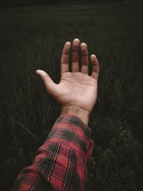 Free An open hand in a red plaid shirt reaching out over a dark green field. Stock Photo