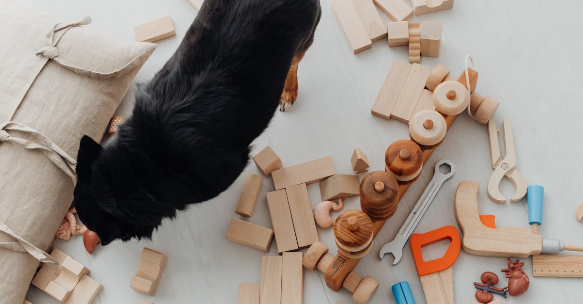 Dog Standing amidst Toys