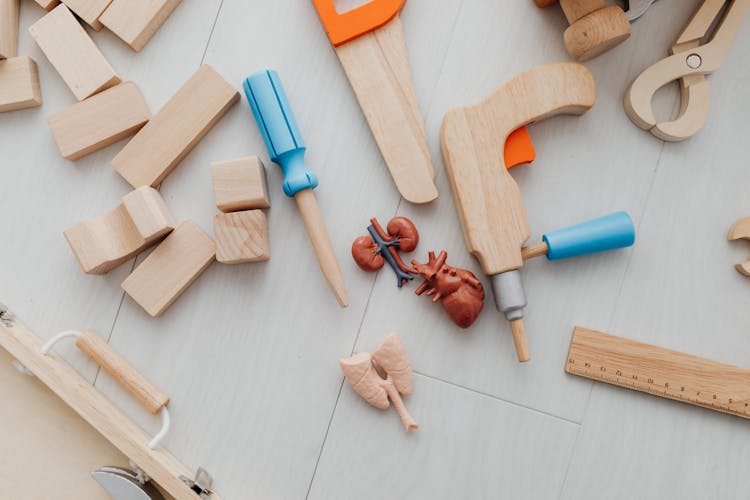 Wooden Tools And Body Organs On Table