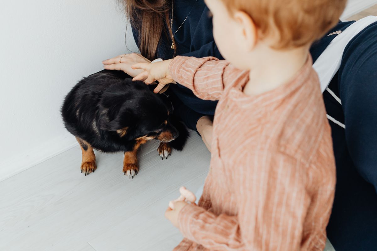 Criança pequena fazendo carinho em cachorro dentro de casa