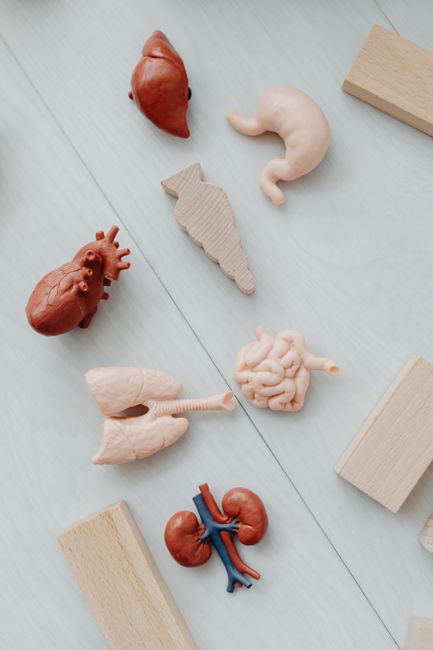 heart health education personal development