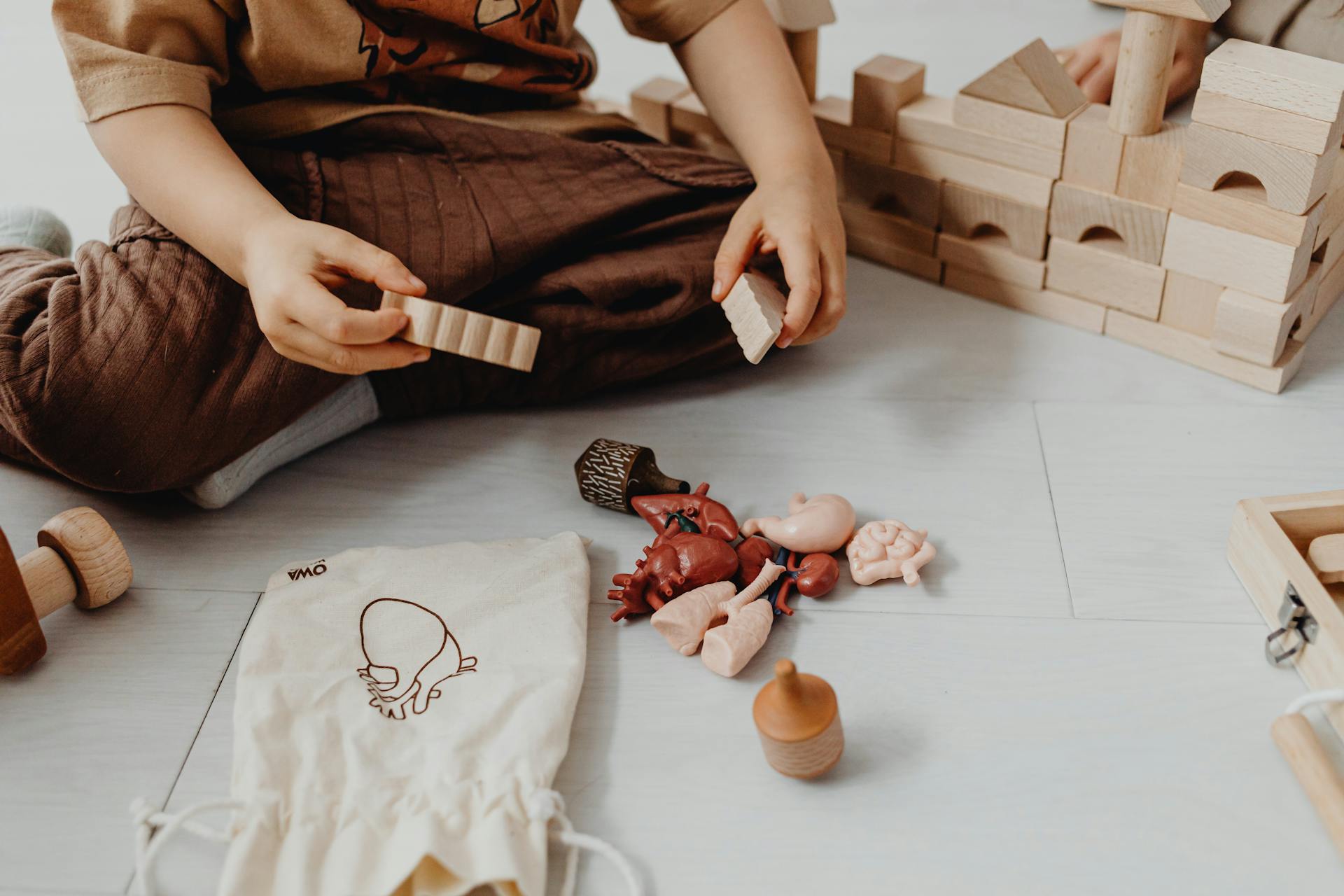 Close-up of a Child Playing with Toys in the Shape of Real Human Organs 