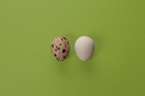 Eggs on Green Background