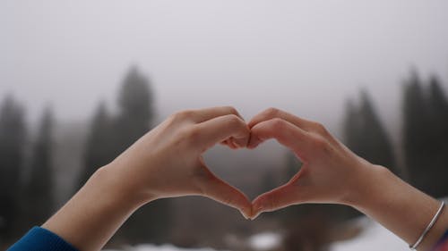 Free Photo of a Person's Hands Forming a Heart Shape Stock Photo