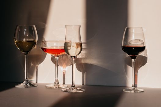 Different sorts of wine in various glasses on table in sunlight