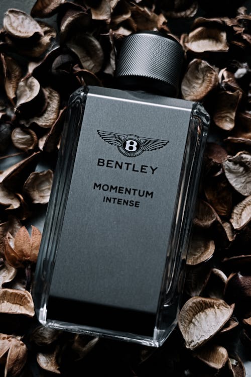 grátis Foto profissional grátis de aroma, Bentley, cheiroso Foto profissional