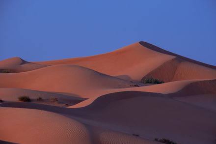 Sand dunes at dawn — Mo Eid on Pexels