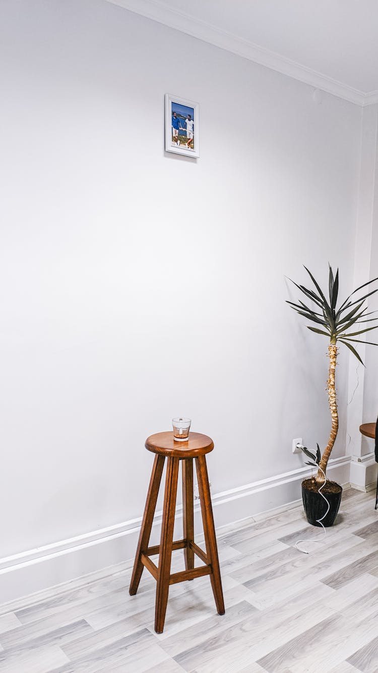 Stool With Glass Next To Potted Plant In Room