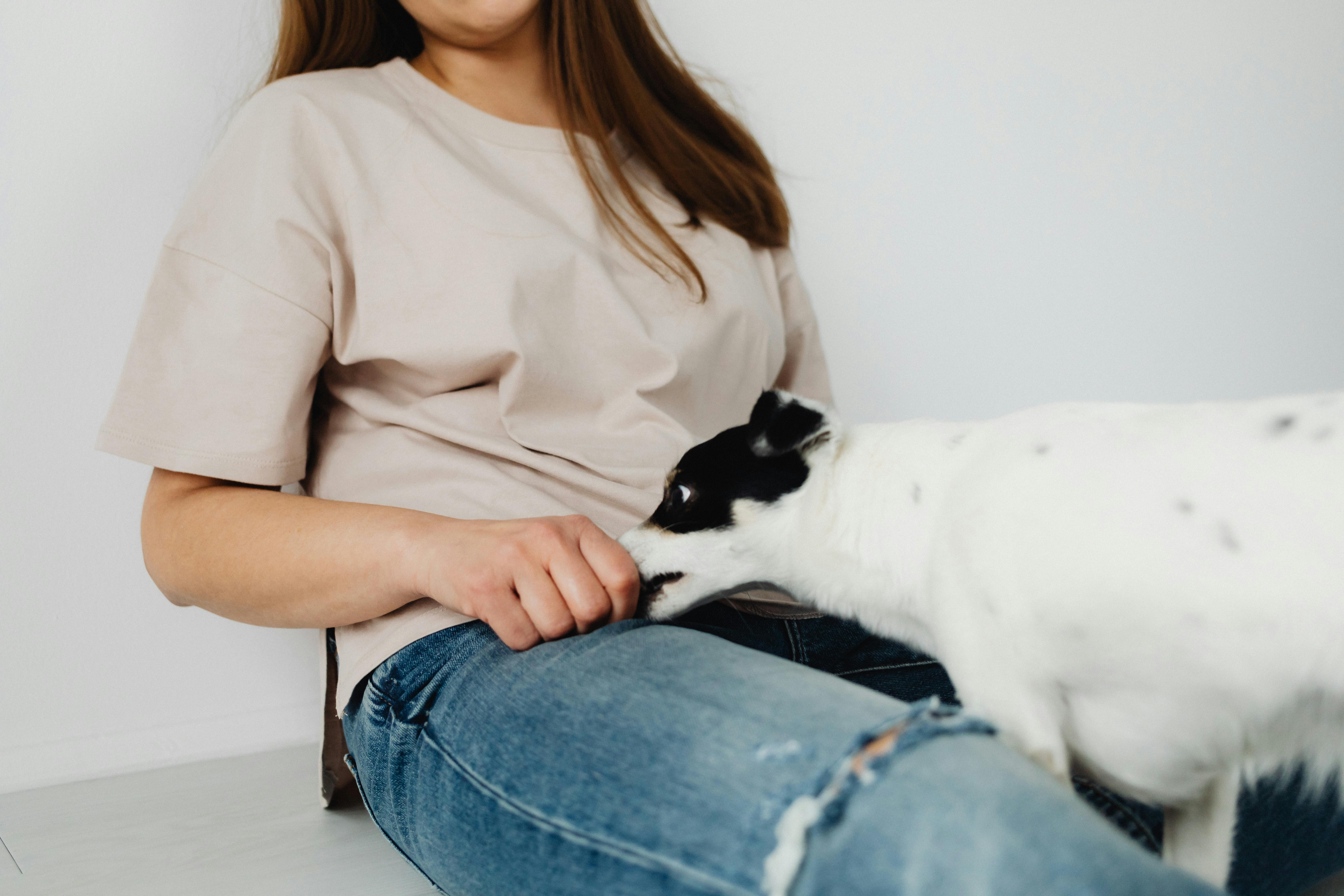 Learn Tips For Pet Safety During Burlington County Animal Shelter’s Family Safety Day Open House — Photo by www.kaboompics.co