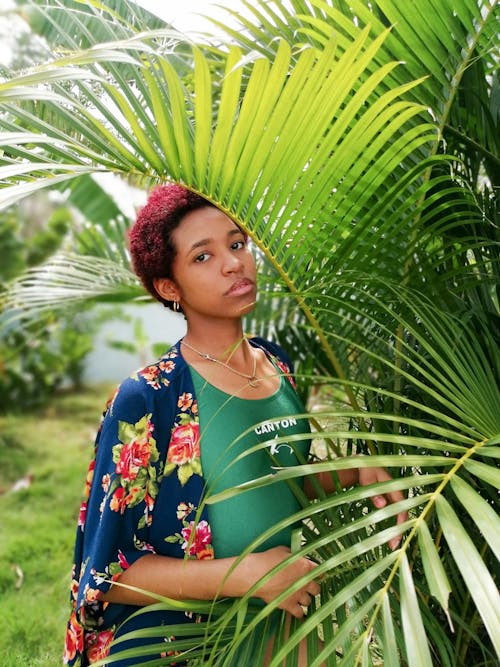 Fotobanka s bezplatnými fotkami na tému Afroameričanka, černoška, palmové listy