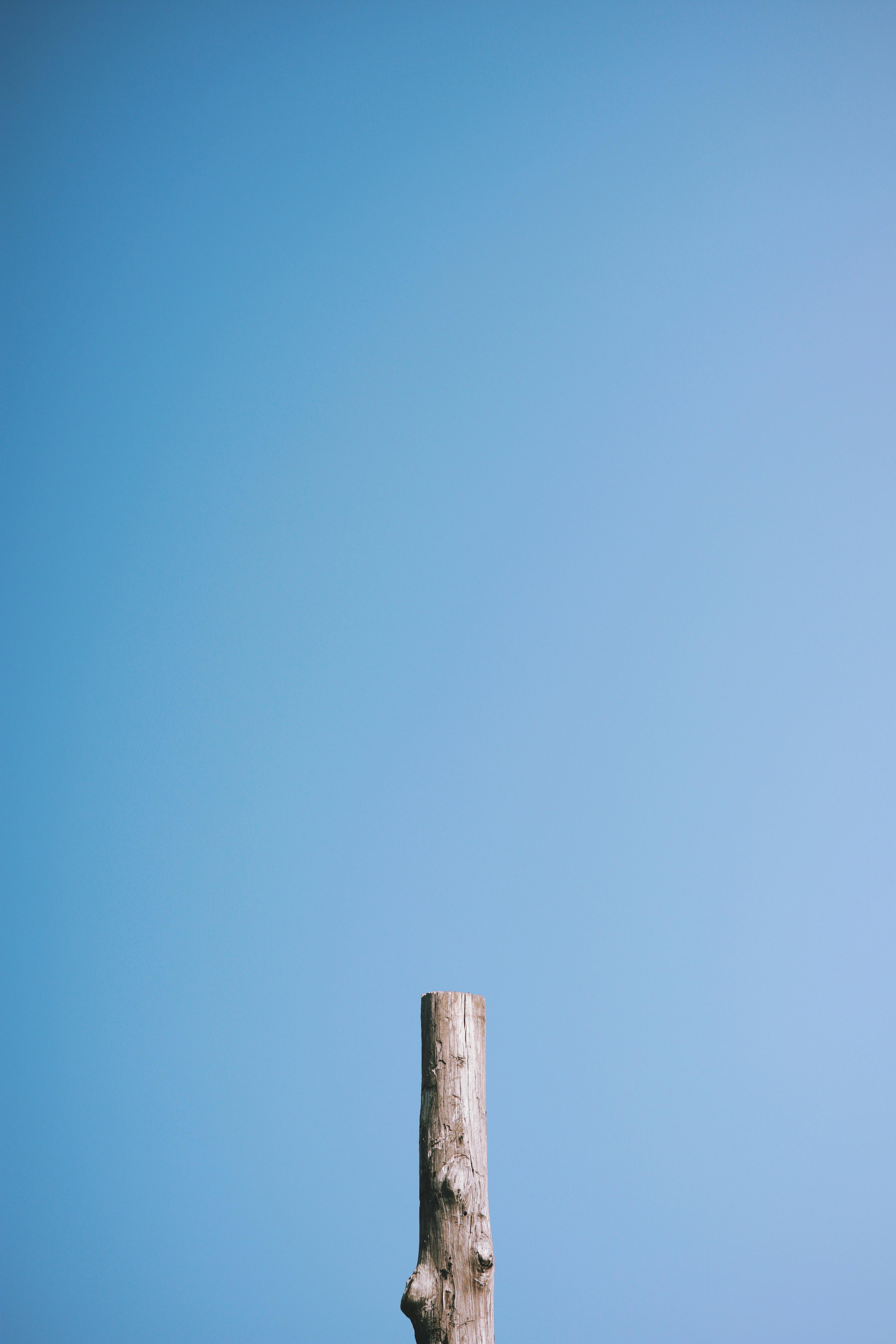 Gratis Fotos de stock gratuitas de aislado, al aire libre, bañador Foto de stock