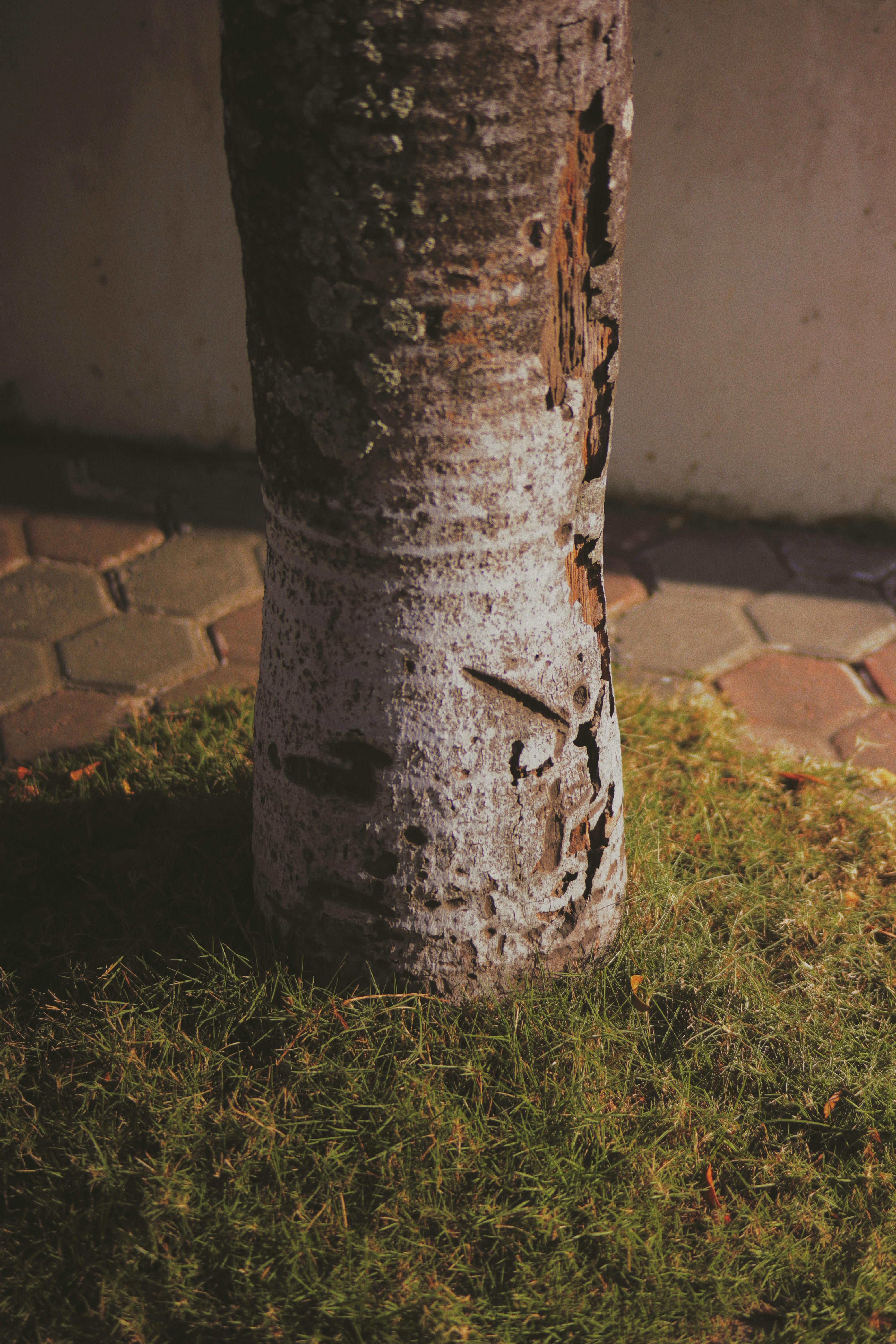 Quad Pattern Photos, Download The BEST Free Quad Pattern Stock Photos ...