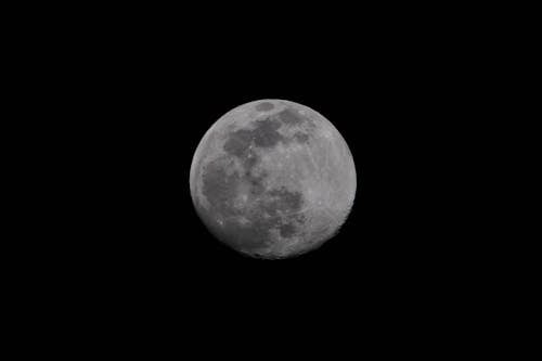 Kostnadsfri bild av fullmåne, månfotografering, närbild