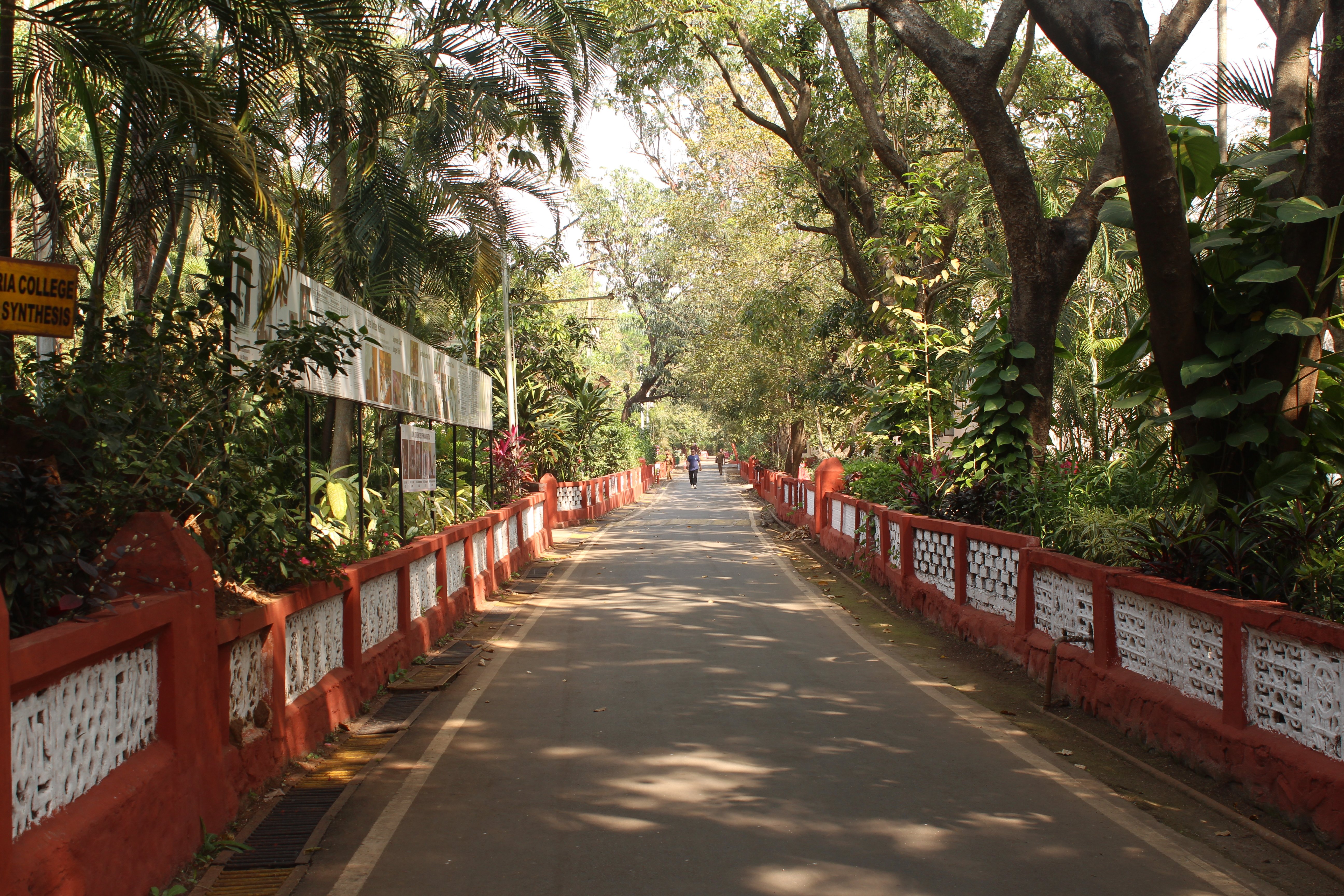 general education department kerala — Photo by Rishu Bhosale on Pexels