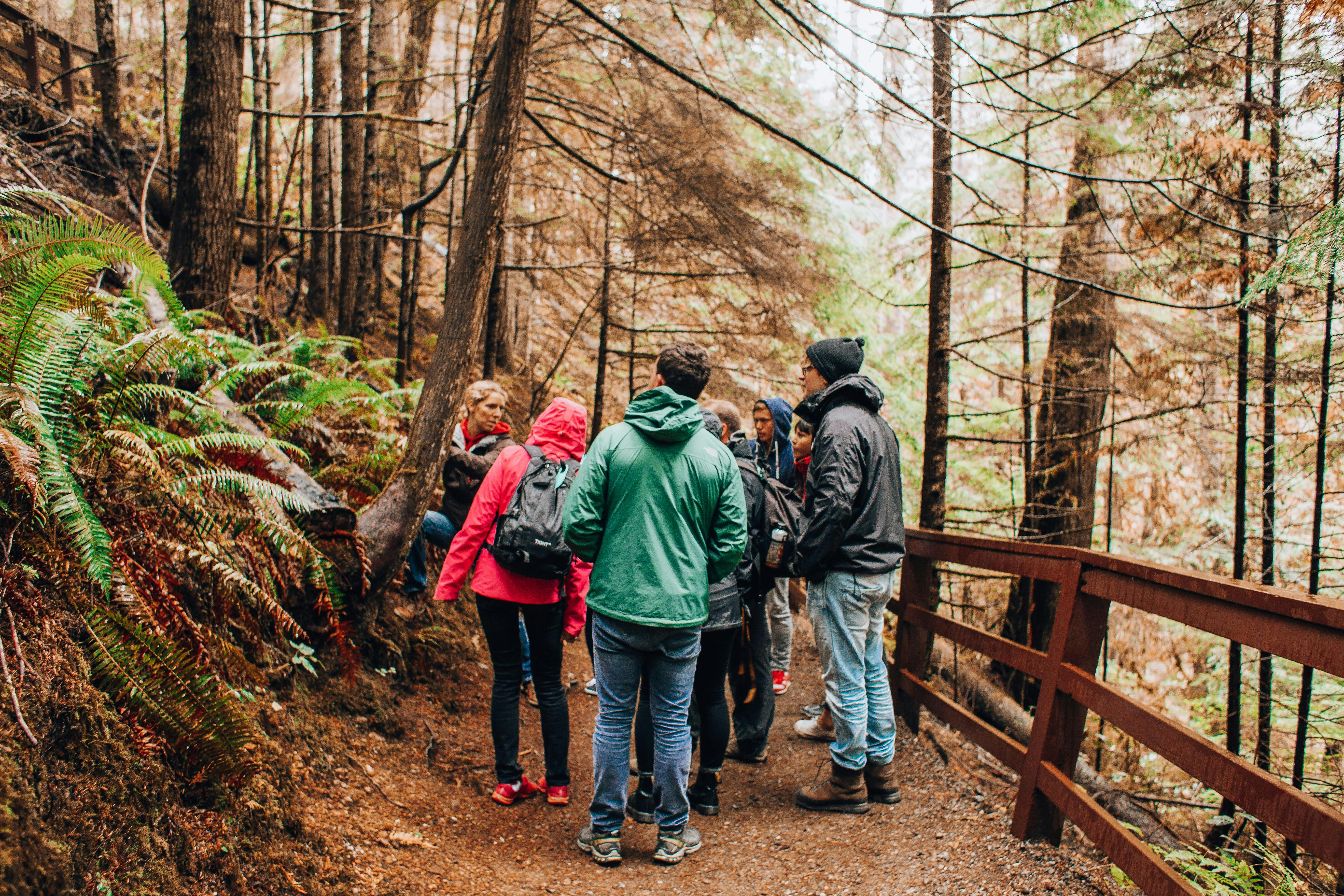 Center for Outdoor Recreation and Education celebrates grand opening — Photo by Rachel Claire on Pexels