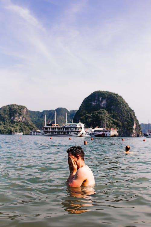 Foto profissional grátis de árvores, cenário, costa