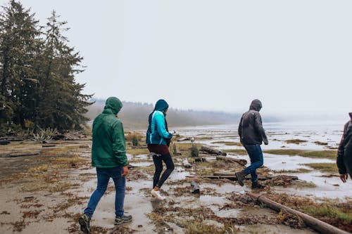 Photos gratuites de blousons, boueux, brouillard