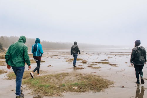 People Walking Near Seashore