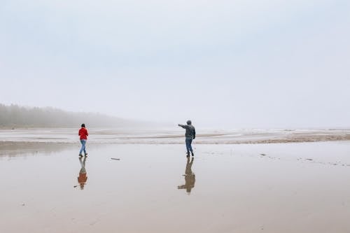 People Walking on Seaside