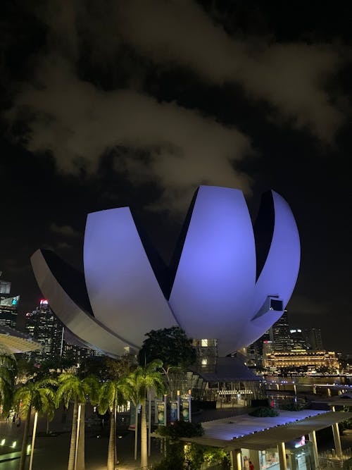 Free stock photo of big city, city at night, singapore