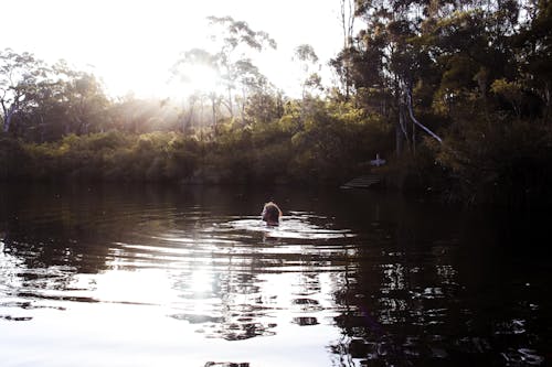 A Man Swimming Outdoors