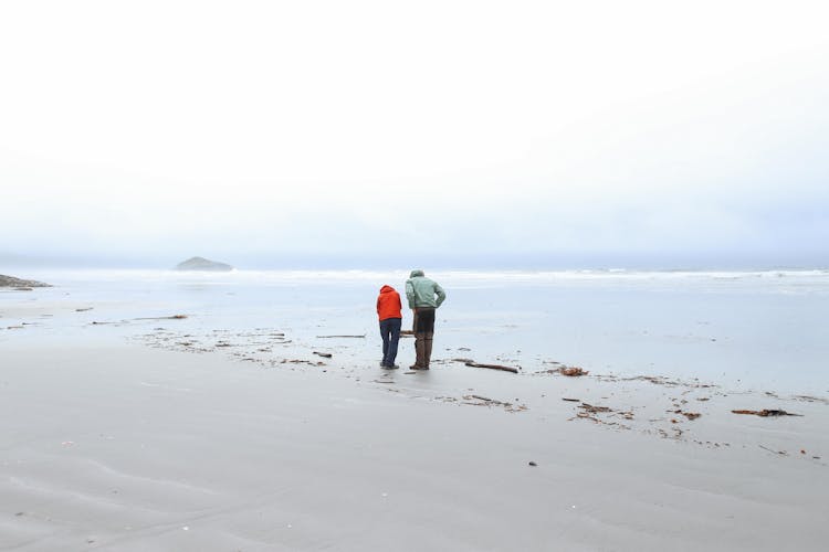 Back View Of People Looking Down On A Sandy Beach