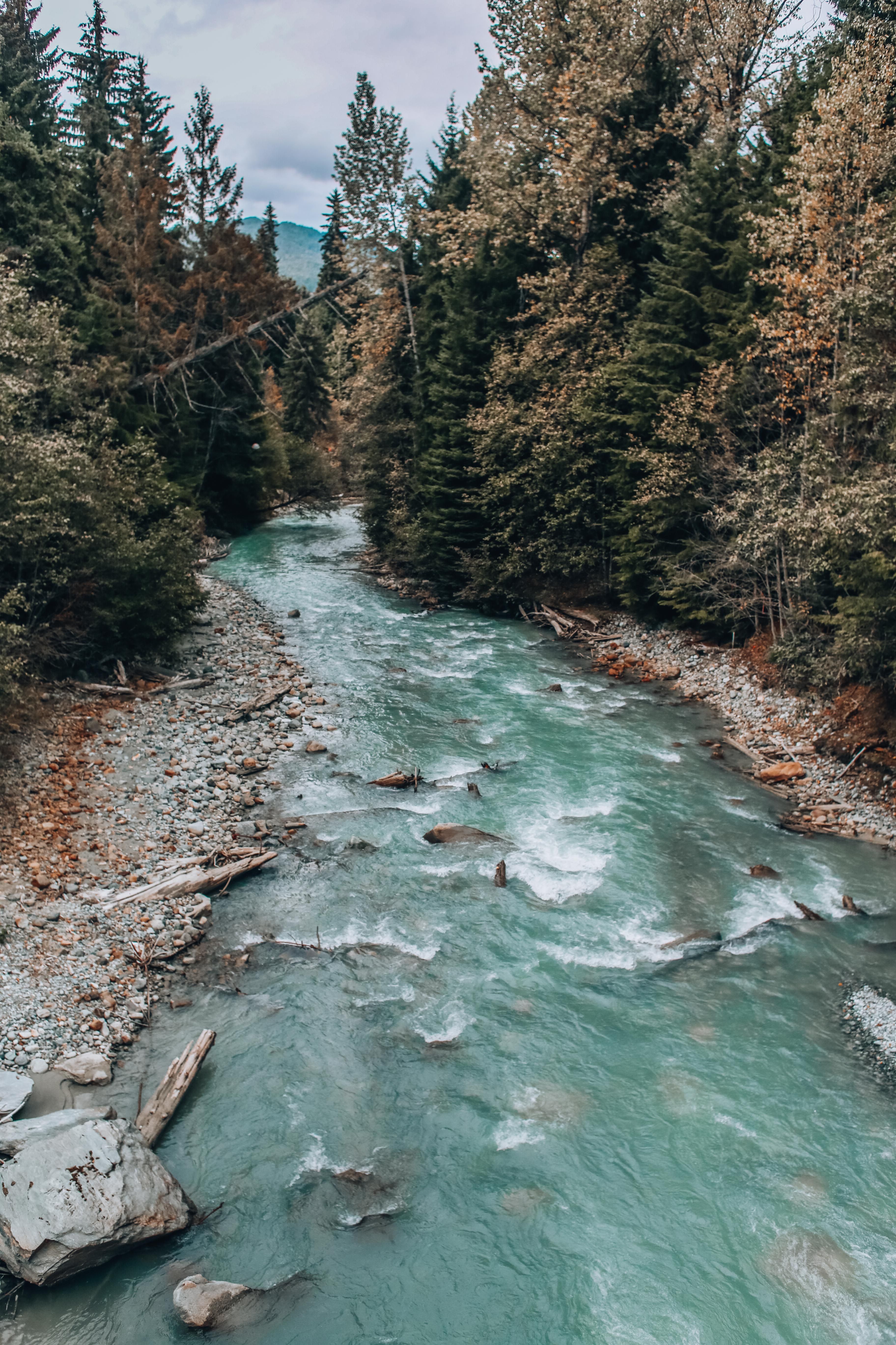 Drone Shot of a Stream · Free Stock Photo