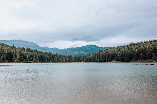 Free A Scenic Shot of a Body of Water in the Wilderness Stock Photo