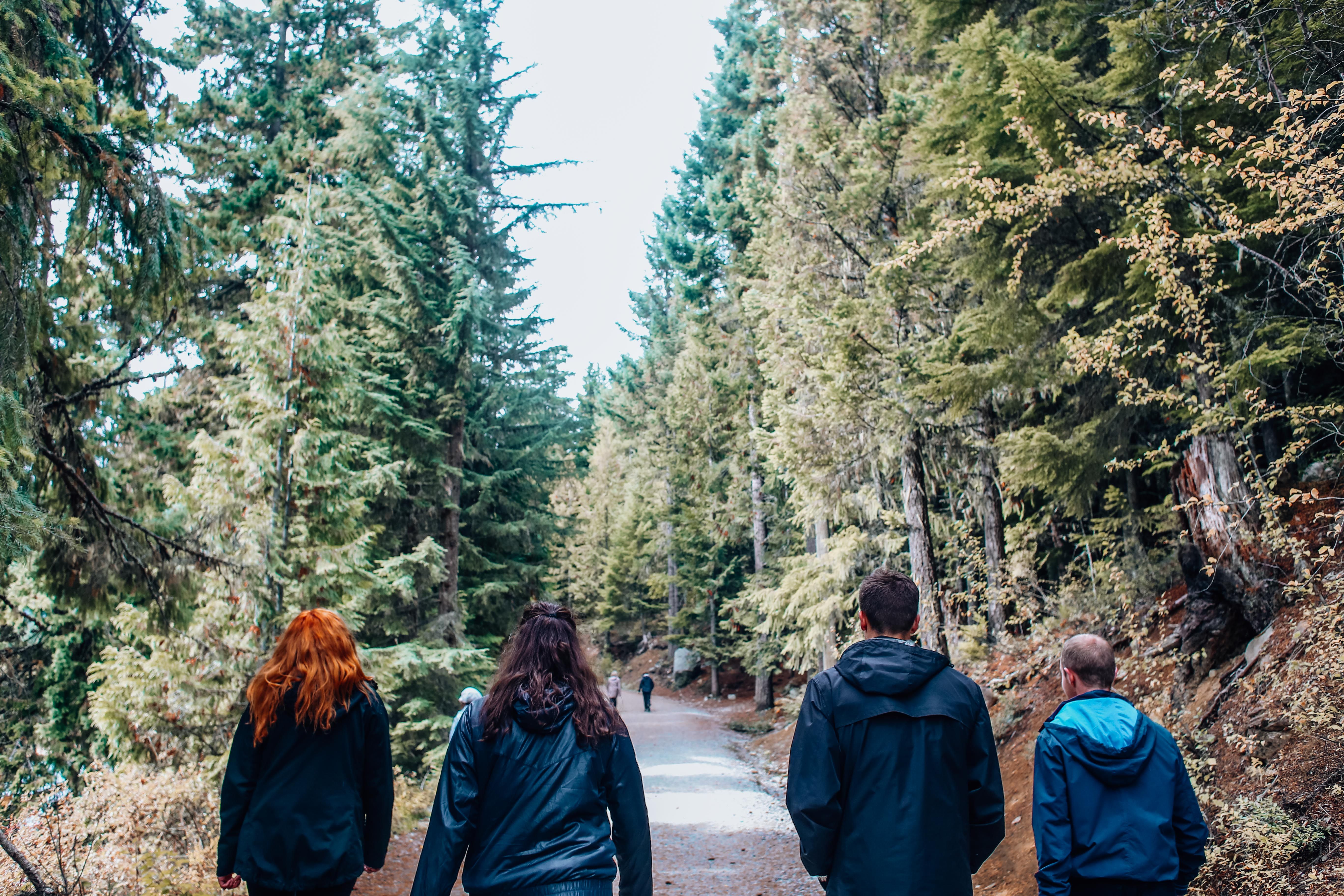 People Walking Together Outdoors · Free Stock Photo
